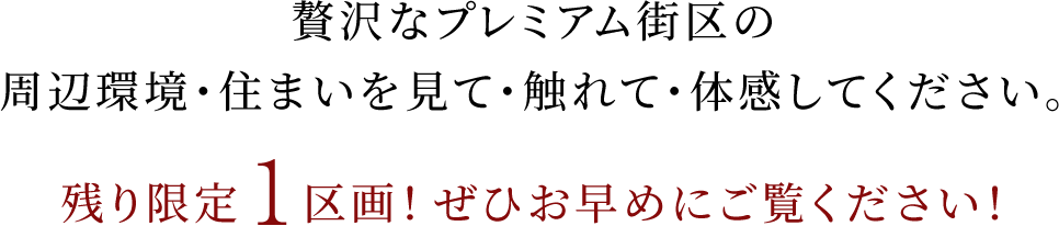 残り限定1区画！ぜひお早めにご覧ください！